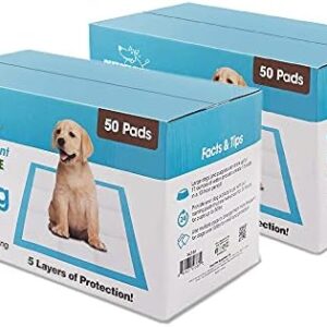 Best Pet Supplies Puppy Training Pee Pads Extra Large 100 Count (36 x 27.5) - Dog Potty Pads XL - Absorbent Indoor Potty Training Pads for Dogs - Puppy Pee Pads for Whelping - Large Wee Wee Pads